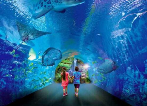 Hurghada Grand Aquarium