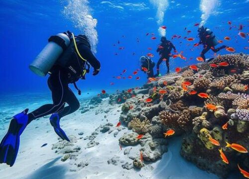 Nurkowanie w Hurghadzie