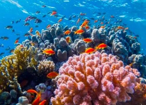 Sharm el Naga z Hurghady