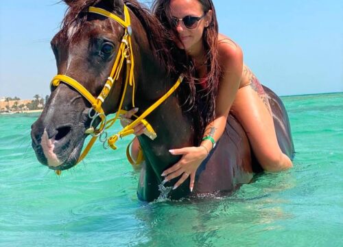Jazda konna w Hurghadzie